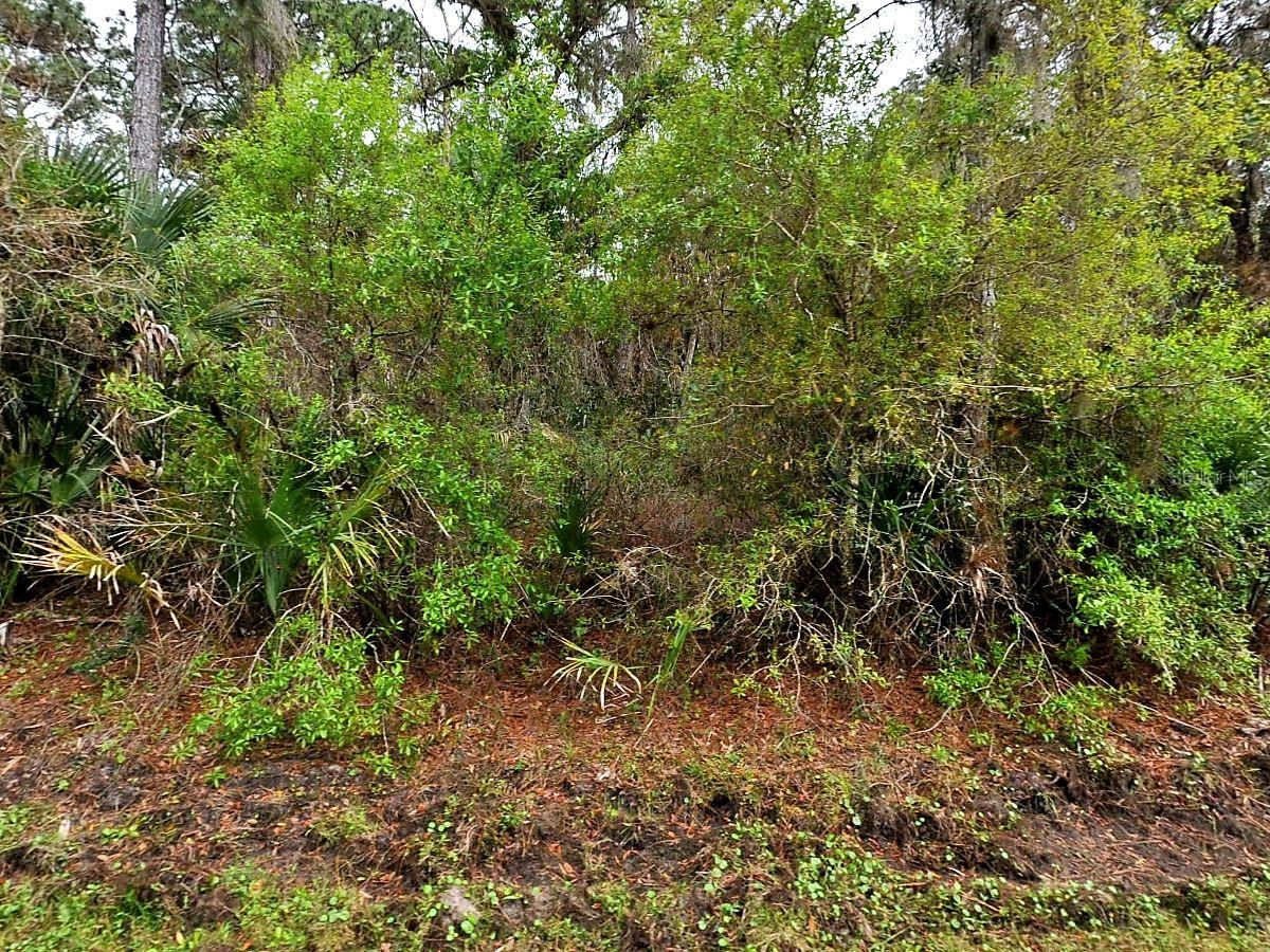 HURDLE RD. Property Photo 1