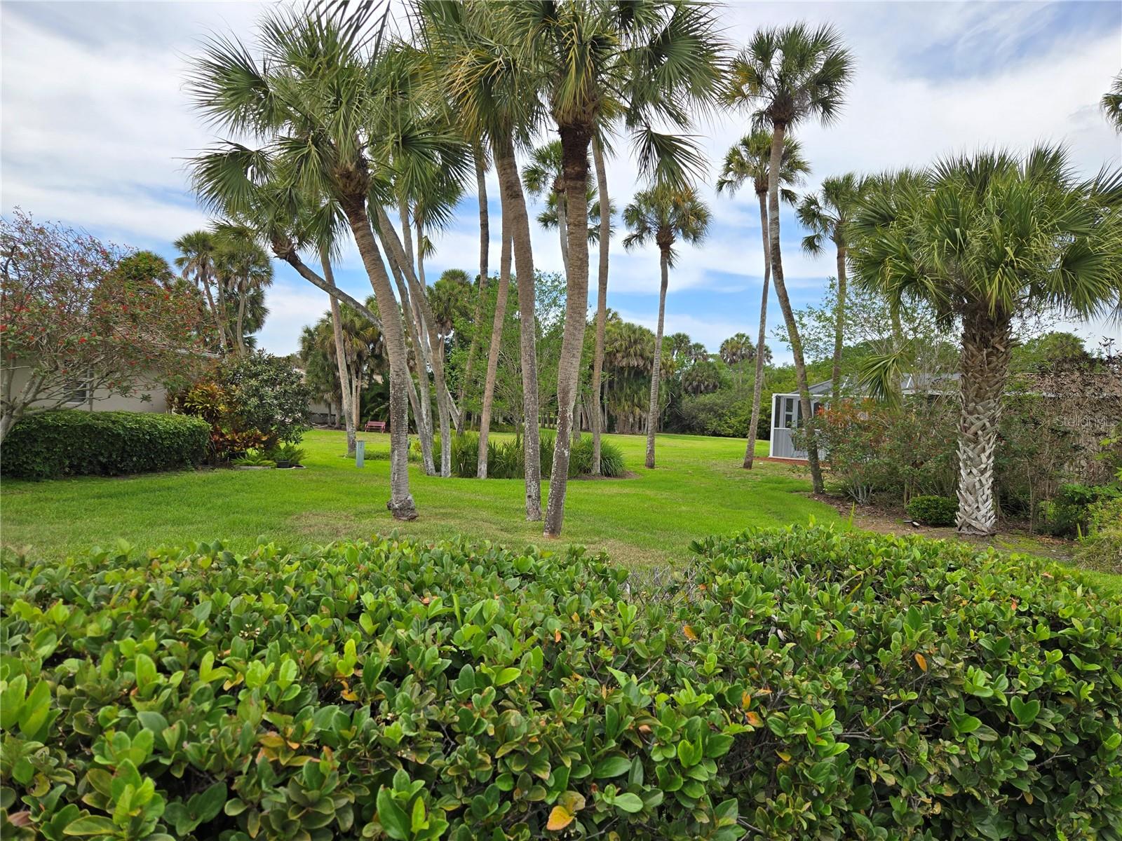 2974 Captiva Gardens Dr #17 Property Photo 16