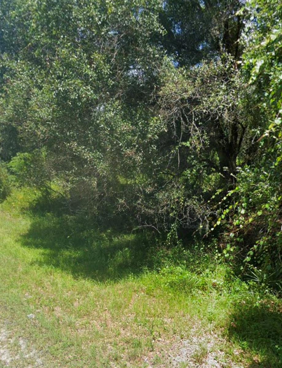 Bangar Ln Property Photo 2