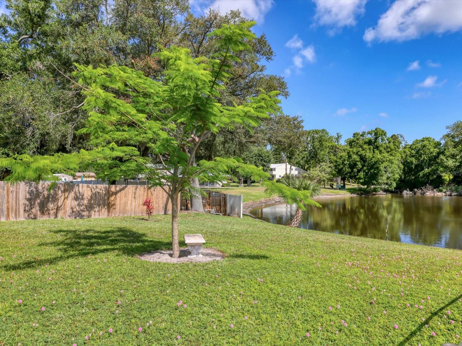 3927 Desoto Rd Property Photo 50