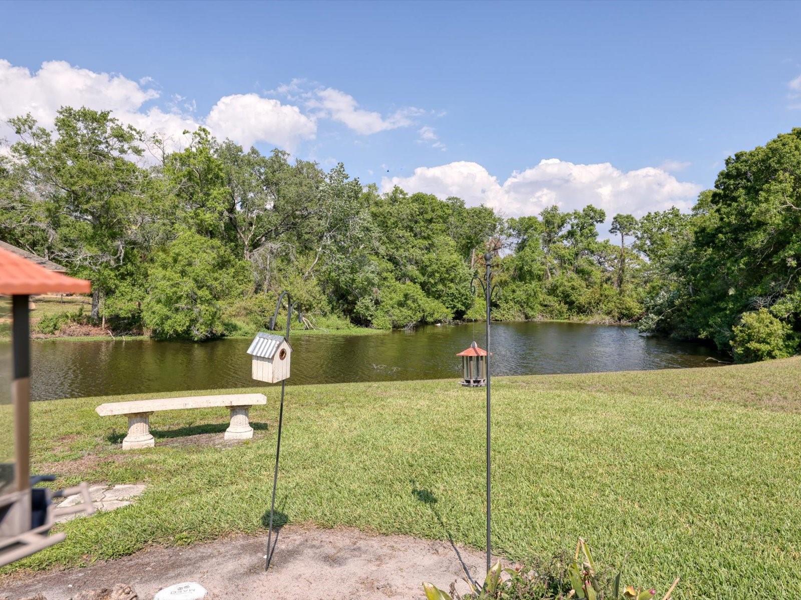 3927 Desoto Rd Property Photo 51