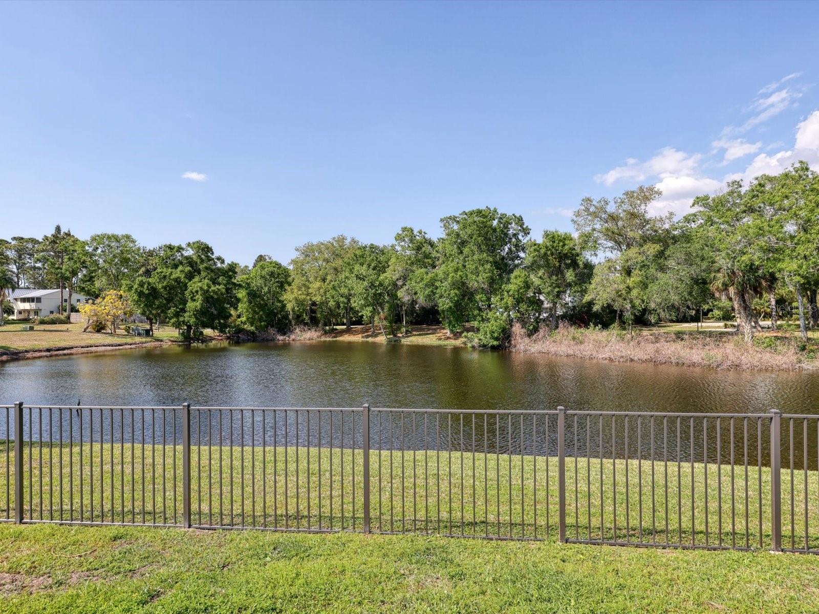 3927 Desoto Rd Property Photo 52