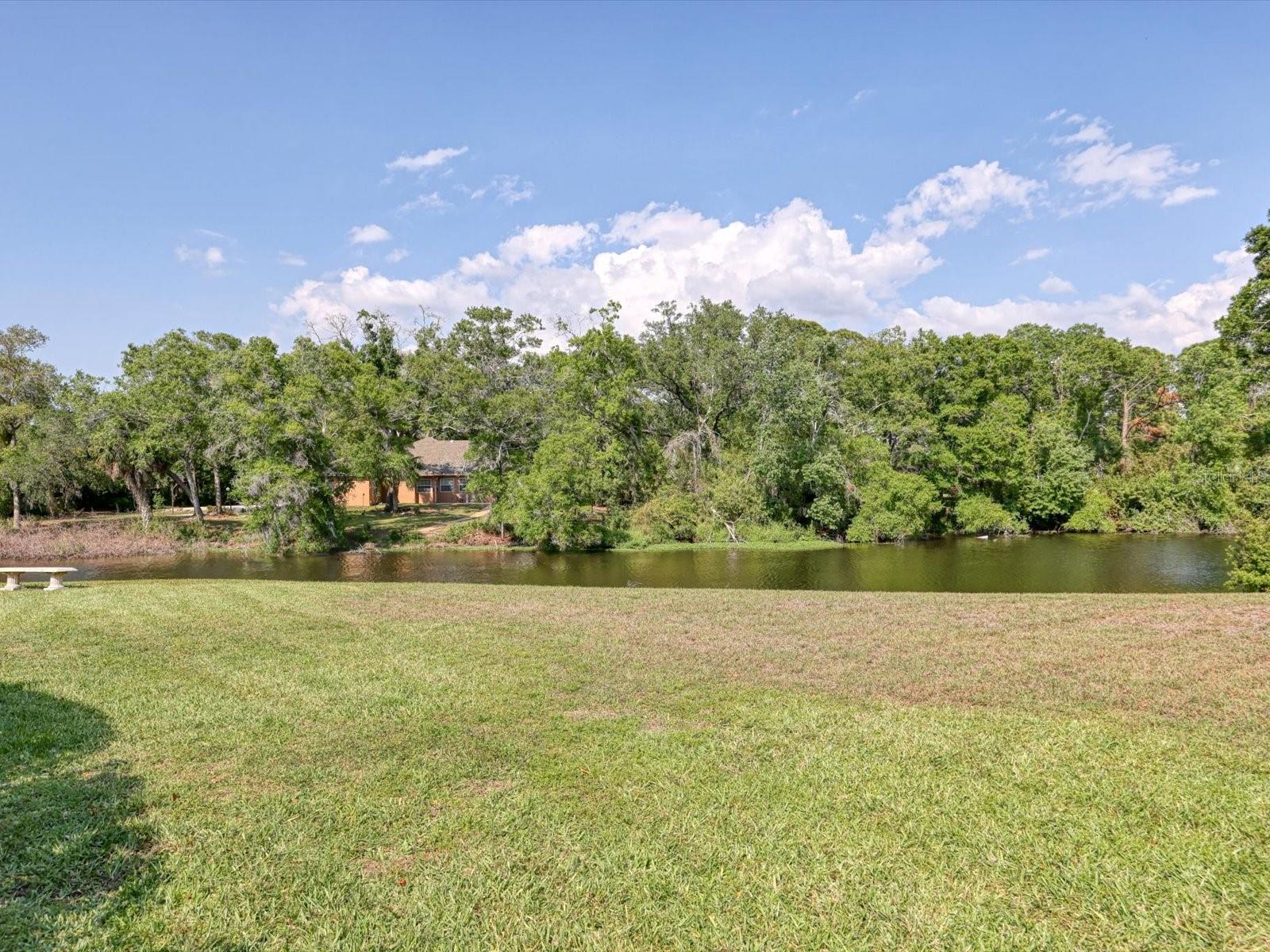 3927 Desoto Rd Property Photo 54