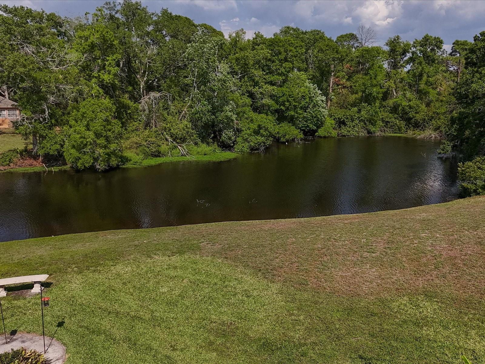 3927 Desoto Rd Property Photo 55