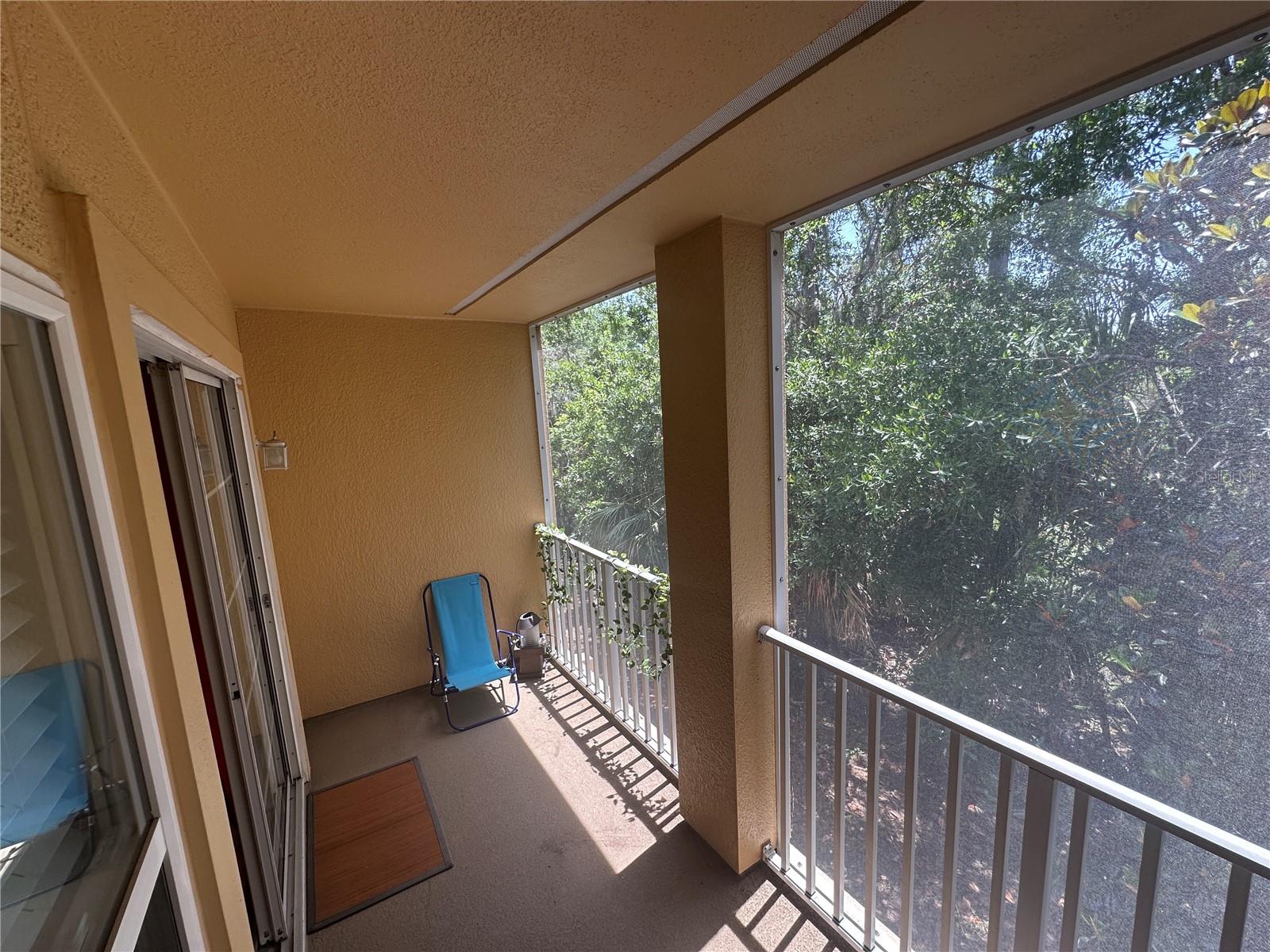 8809 White Sage Loop Property Photo 13