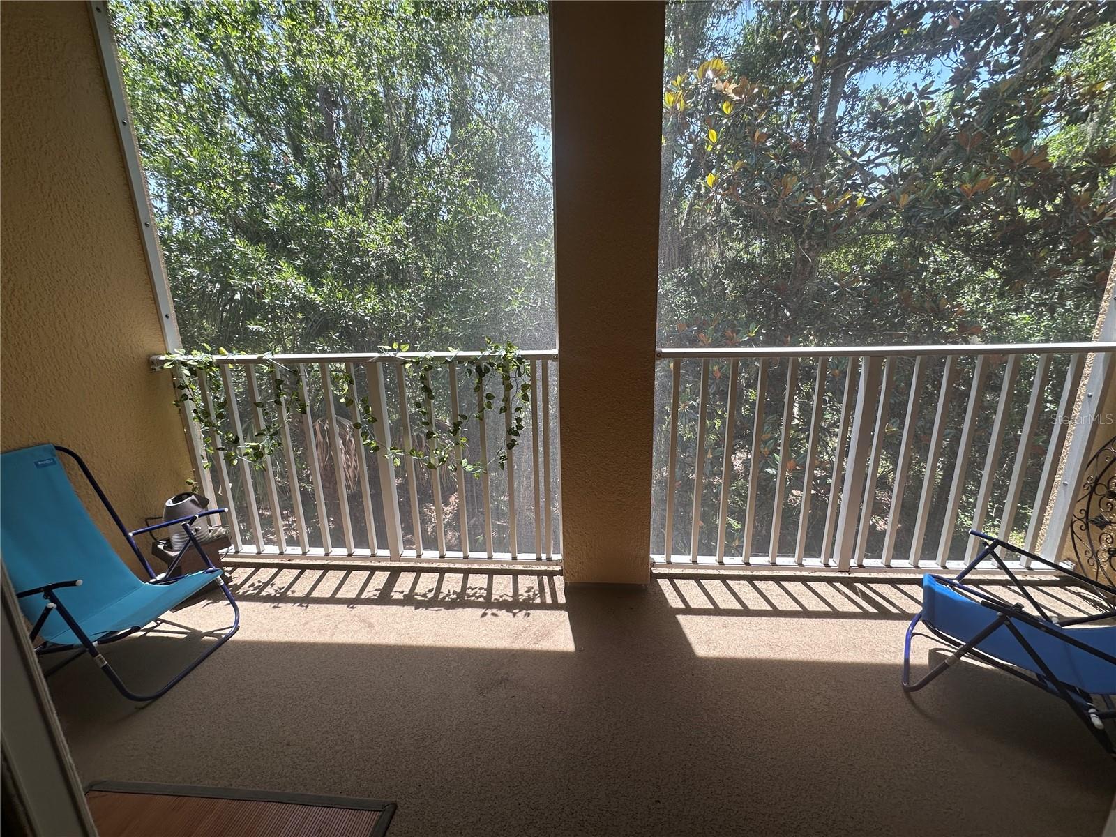 8809 White Sage Loop Property Photo 14