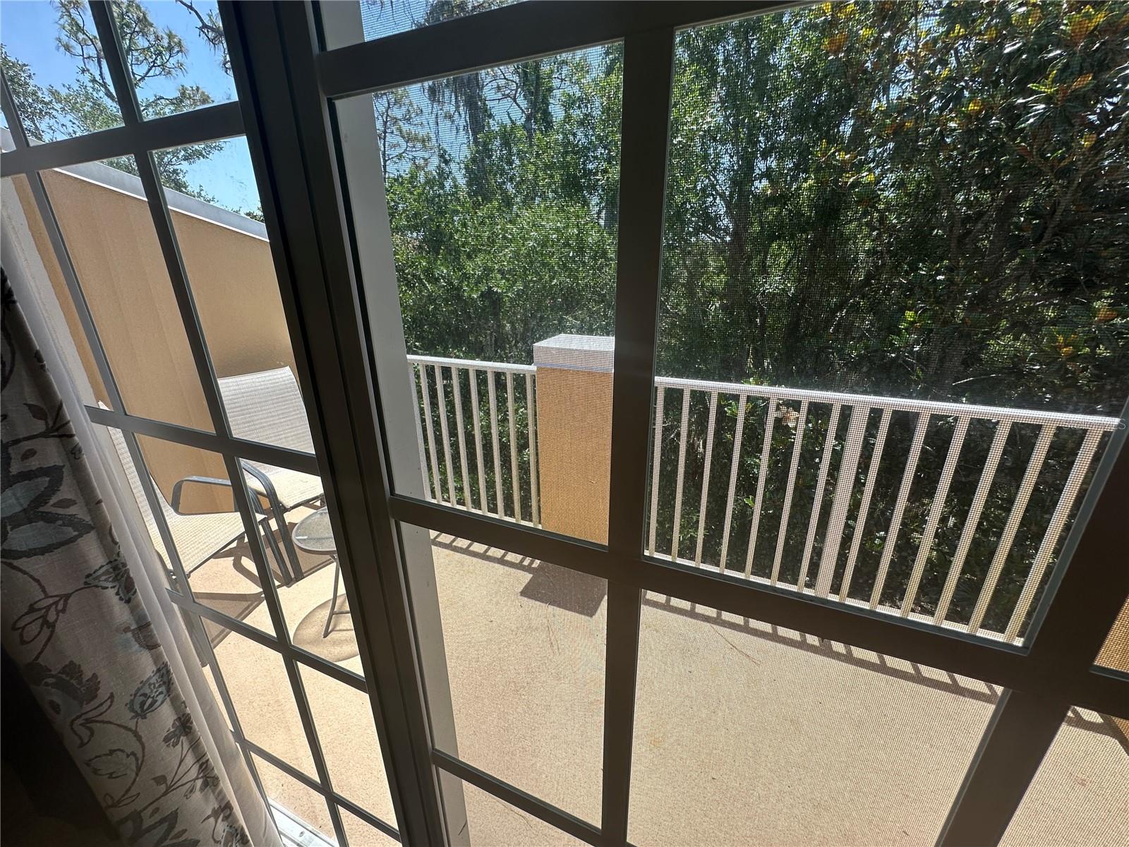 8809 White Sage Loop Property Photo 19