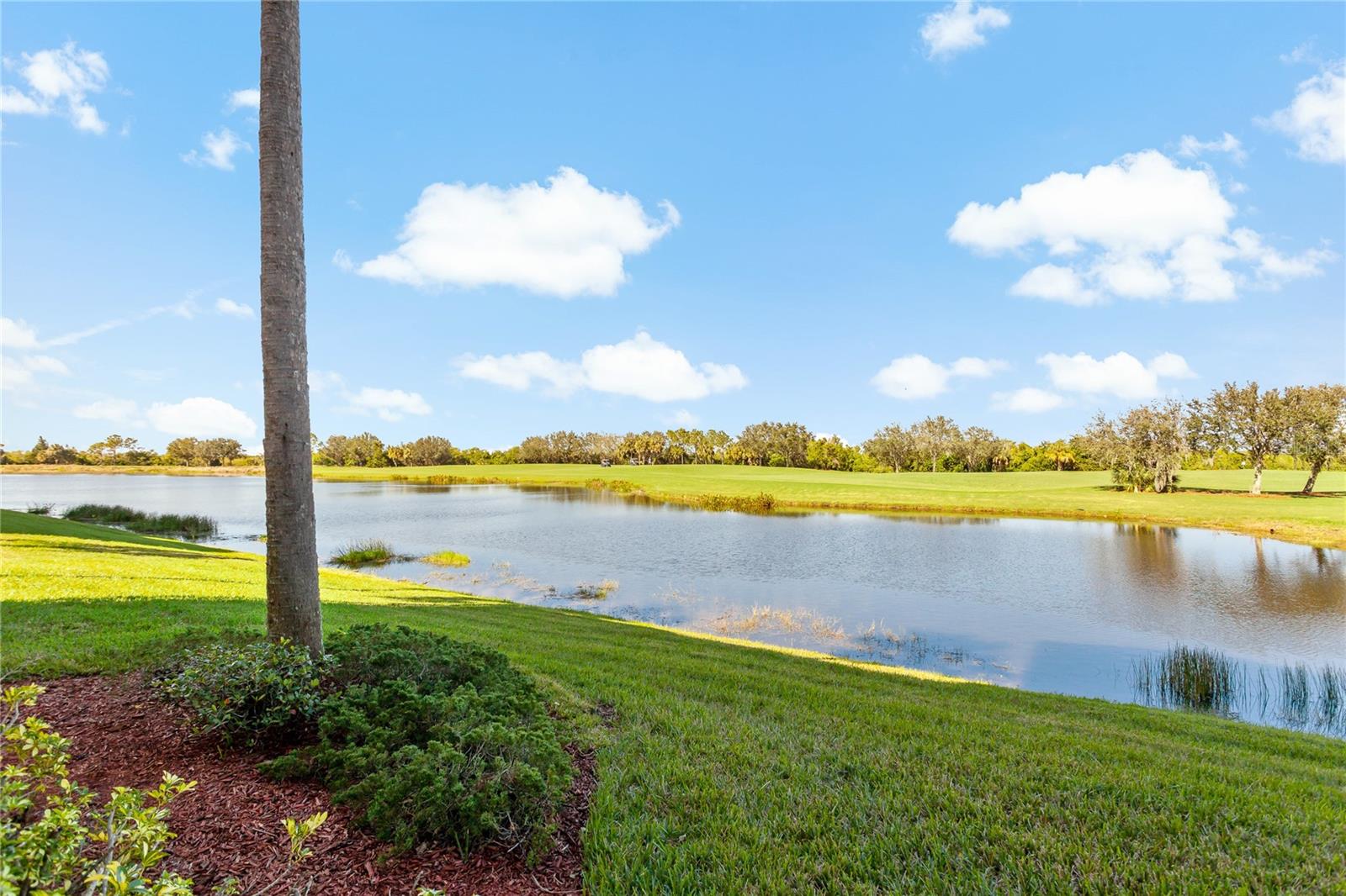 7121 River Hammock Dr #102 Property Photo 3