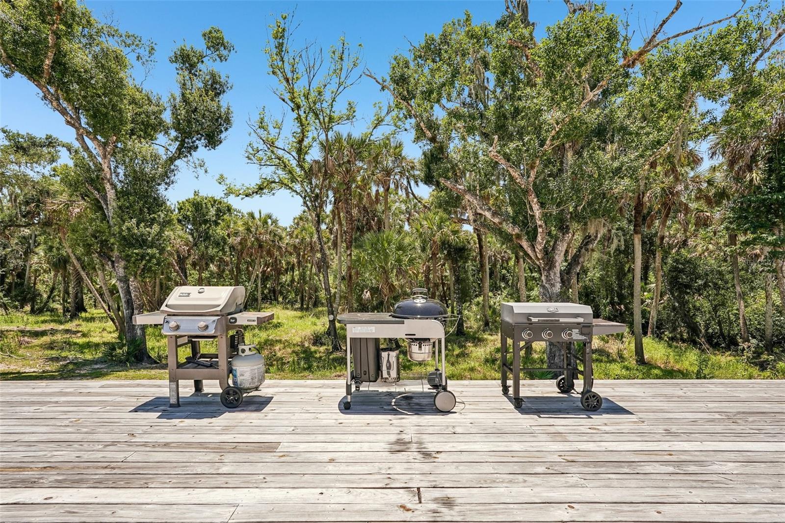 5361 Myakka Valley Trl Property Photo 41