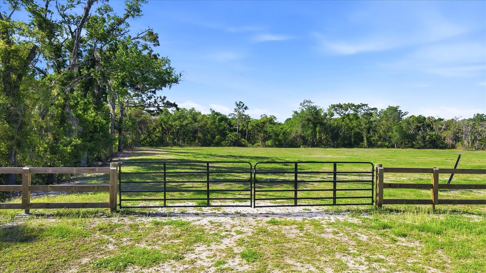 5361 Myakka Valley Trl Property Photo 53