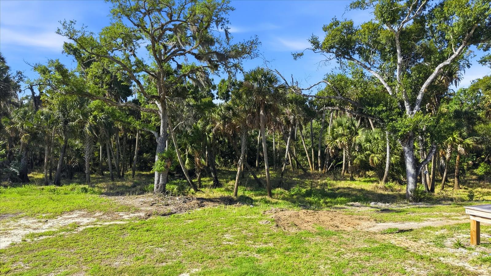 5361 Myakka Valley Trl Property Photo 60