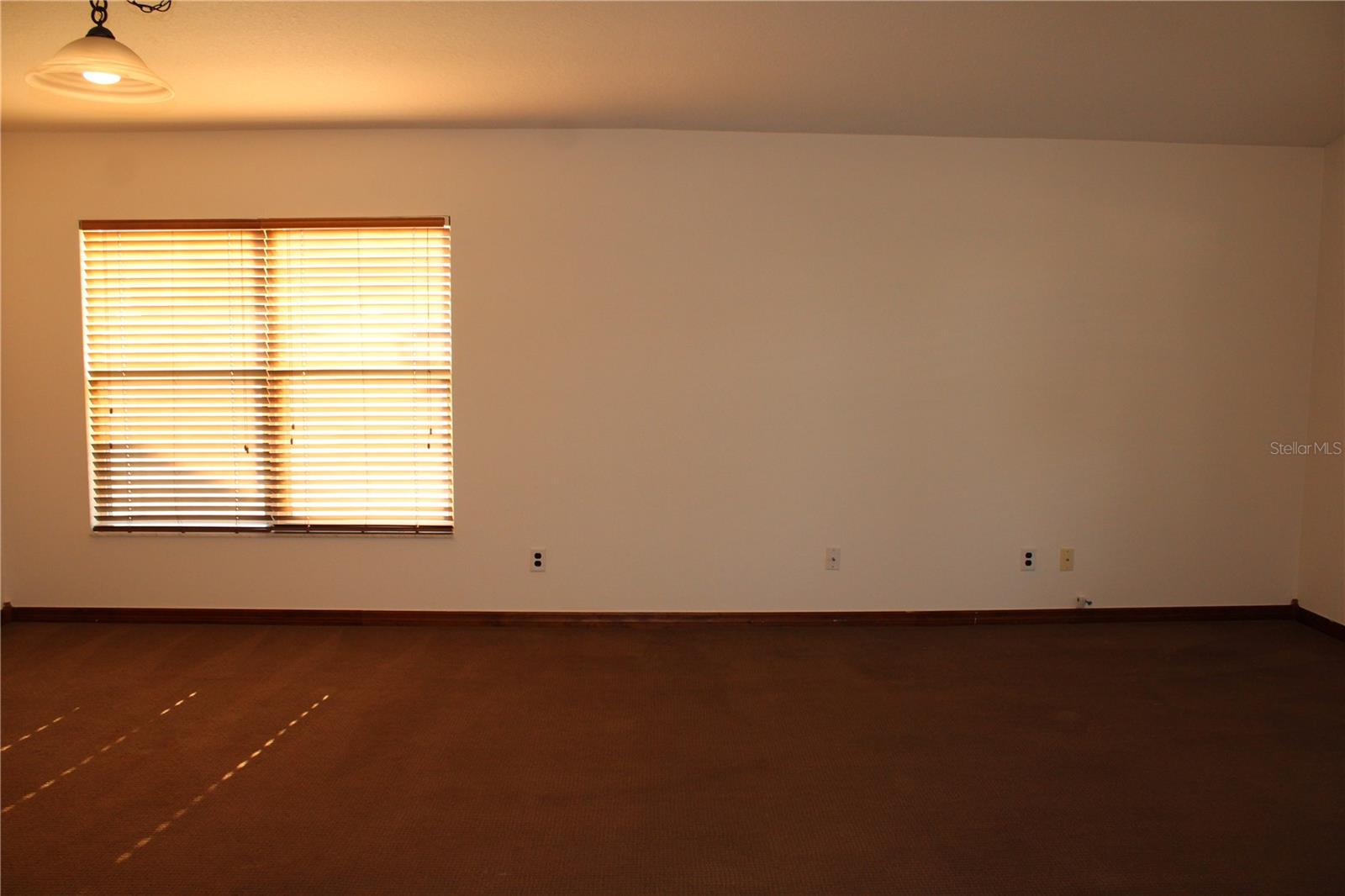 11479 Walden Loop Property Photo 16