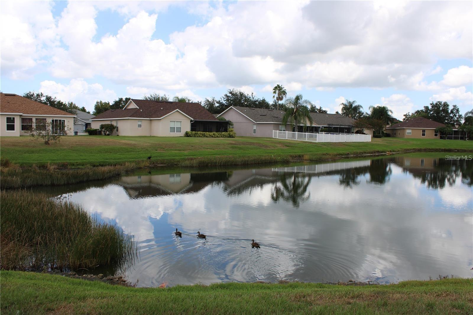 11479 Walden Loop Property Photo 48