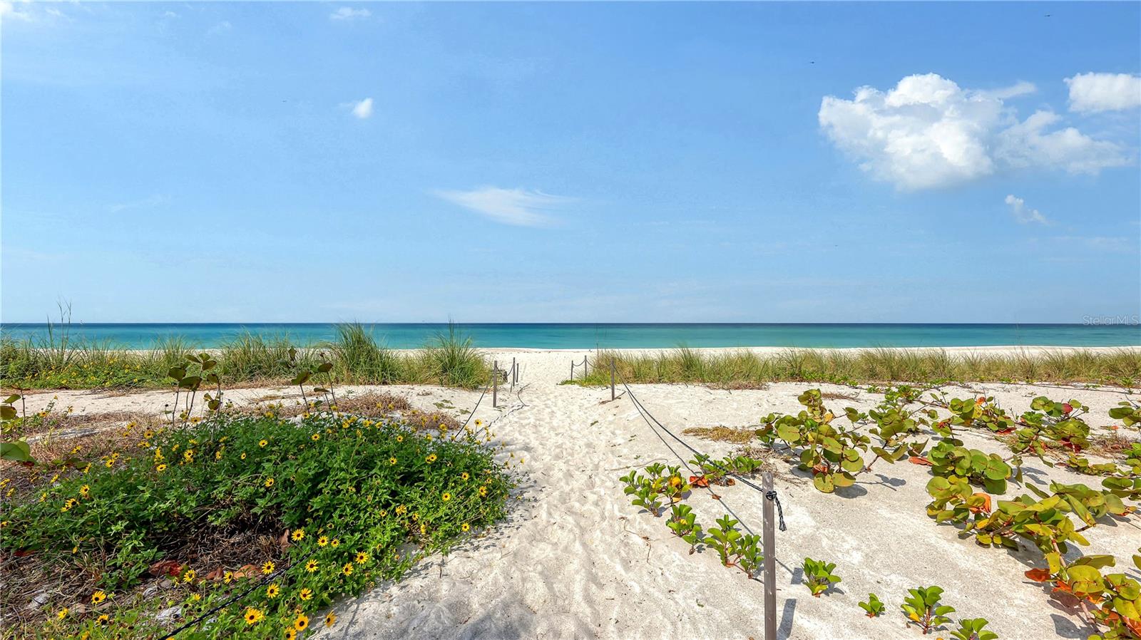 4825 Gulf Of Mexico Dr #504 Property Photo 28