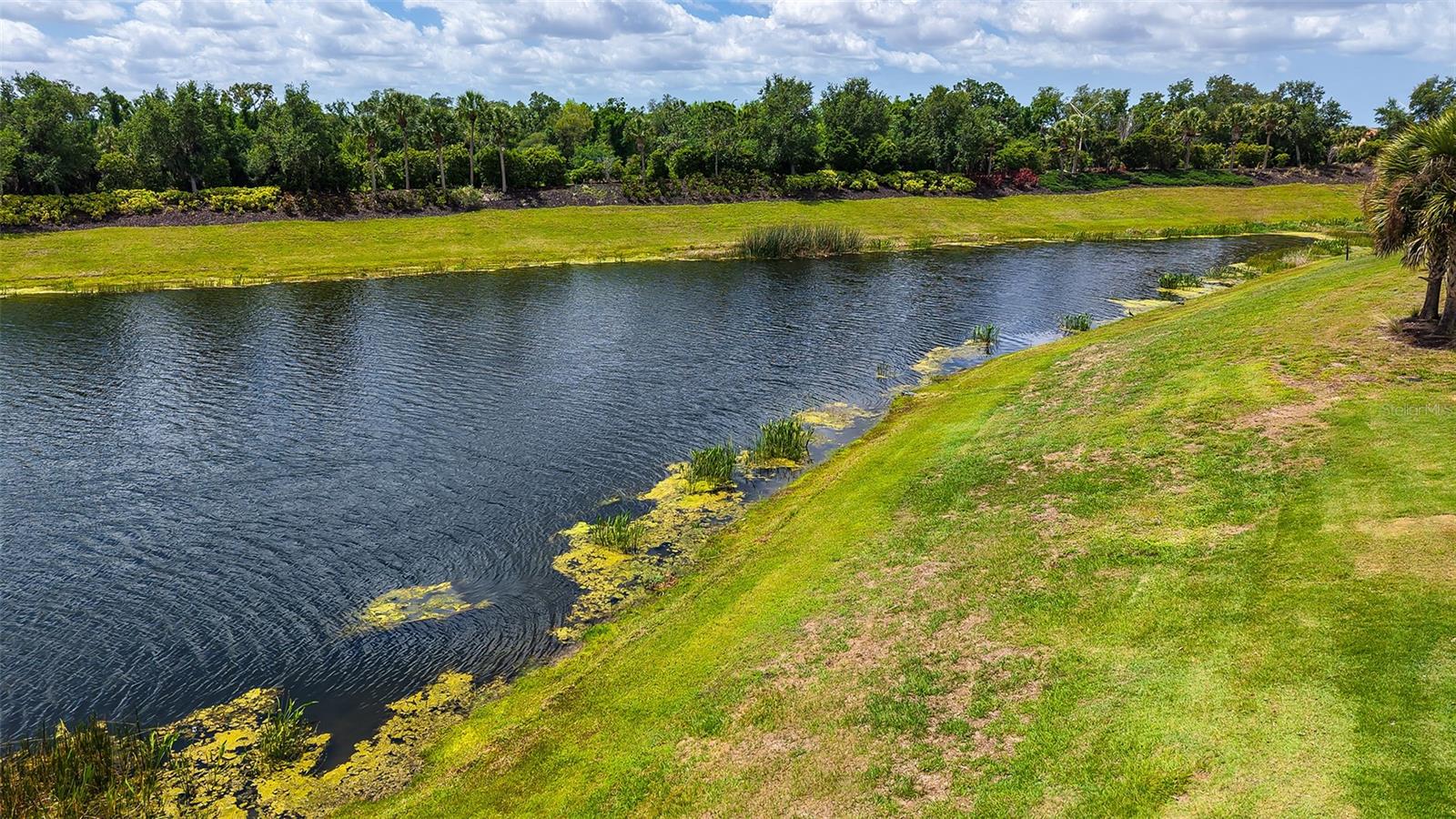 13720 Messina Loop #102 Property Photo 15
