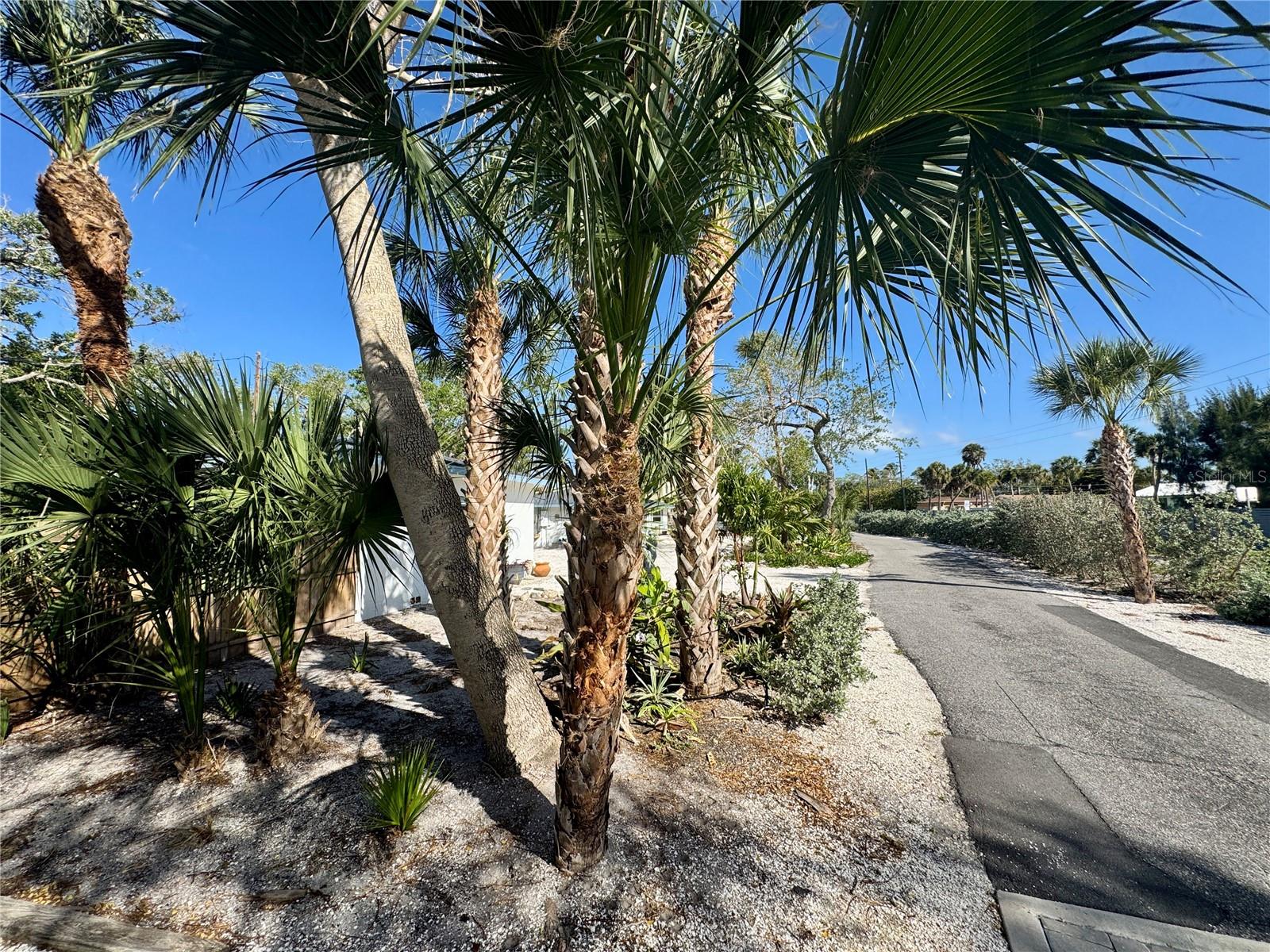 7372 Melaleuca Way Property Photo 34