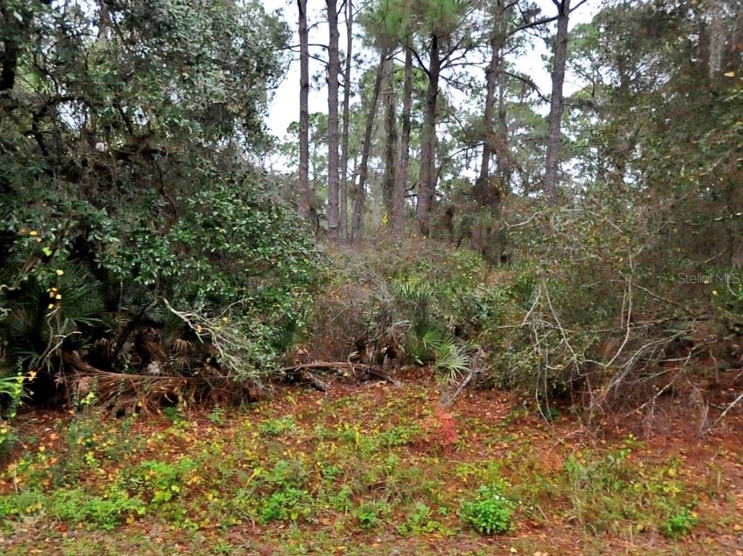 NEON AVE Property Photo 1