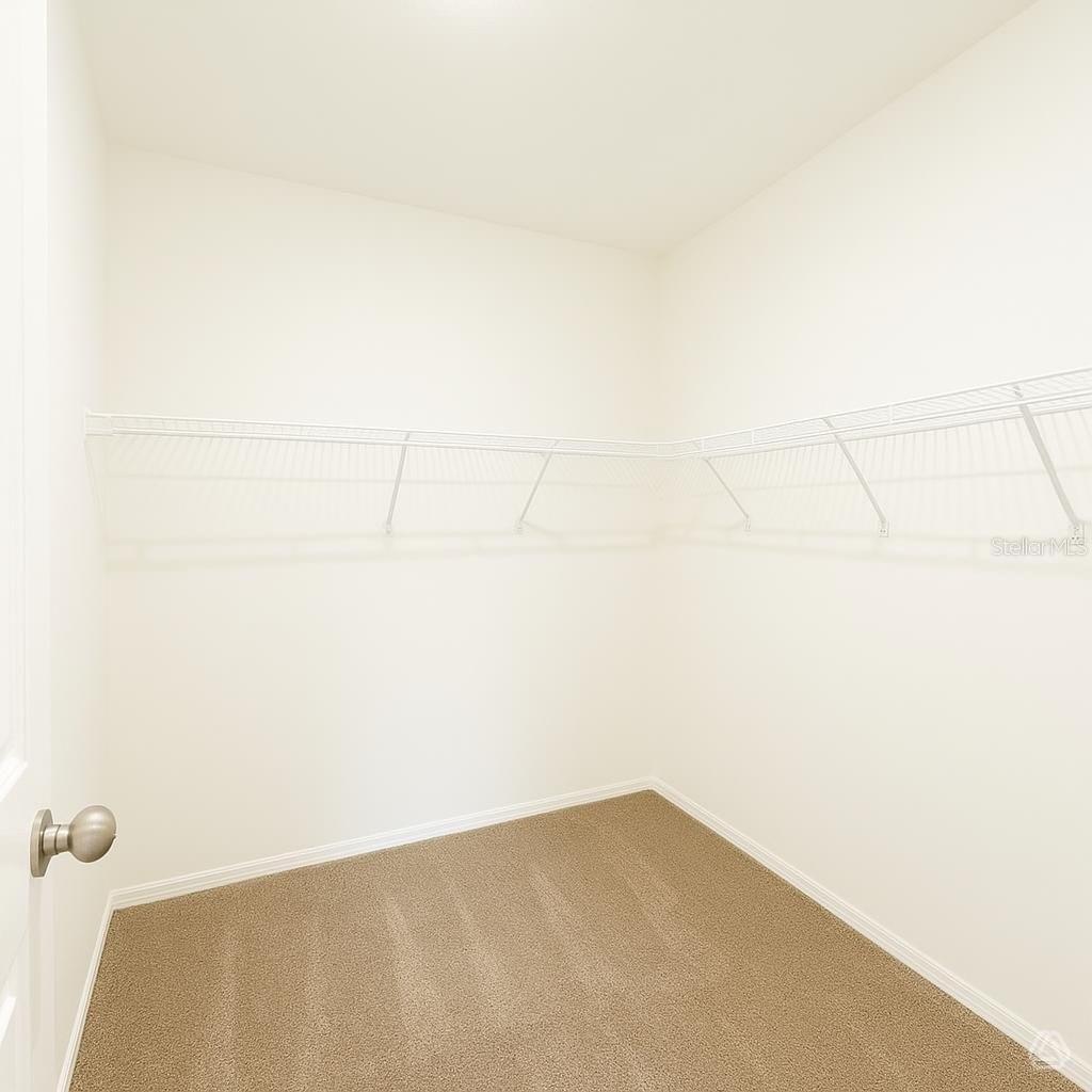 13041 Sassafras Trail Property Photo 6