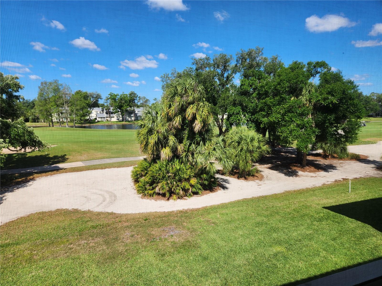6501 Stone River Rd #303 Property Photo 16