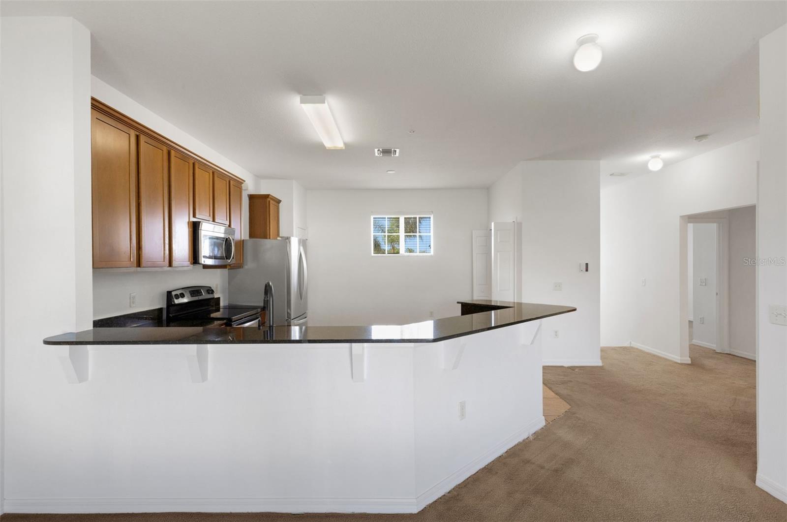 5328 Mang Pl #1305 Property Photo 6