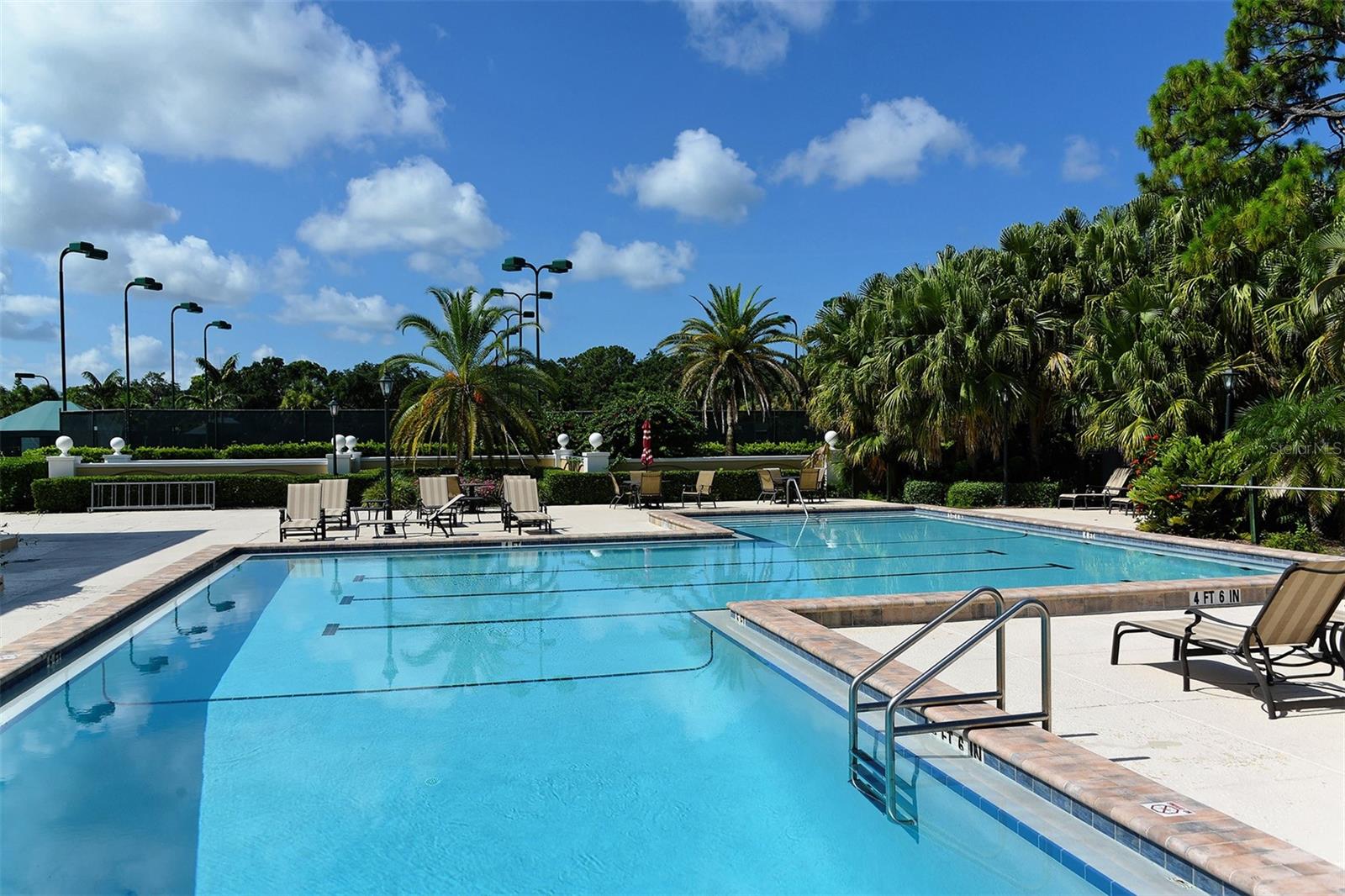 51 Macewen Dr #12 Property Photo 66
