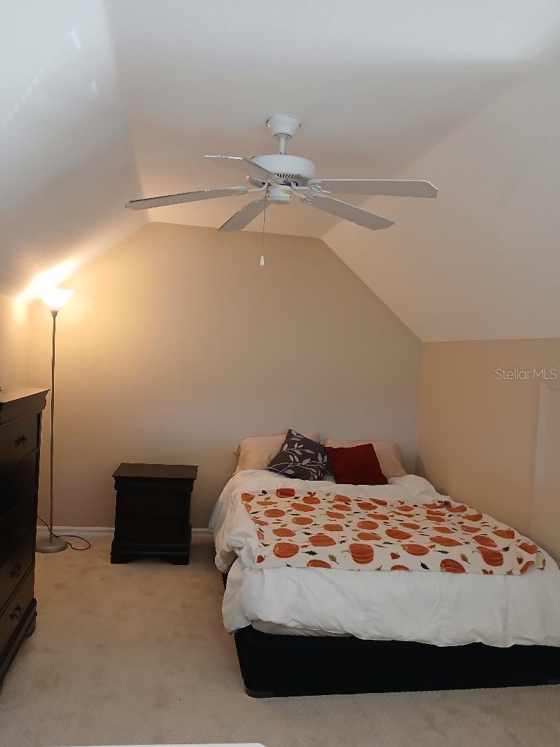 5581 Rosehill Rd ## 203 Property Photo 13