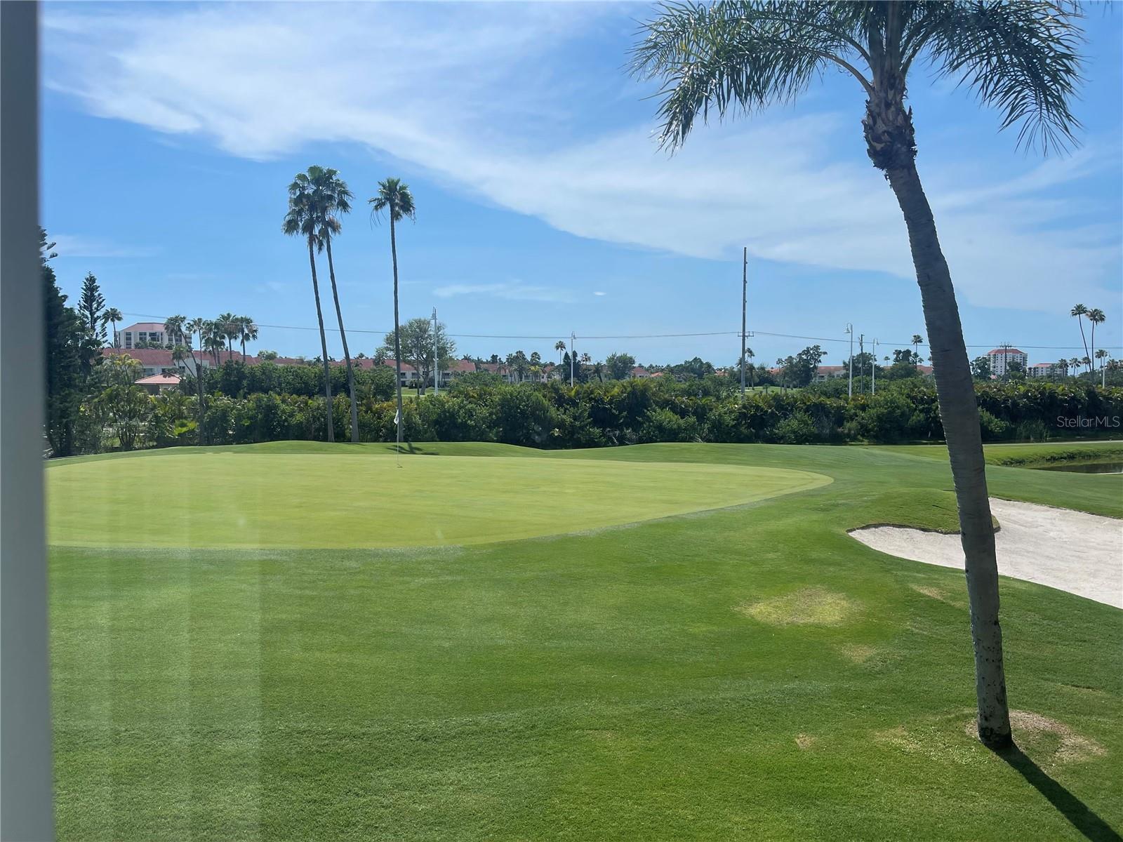 6343 PALMA DEL MAR BLVD S #226 Property Photo 1