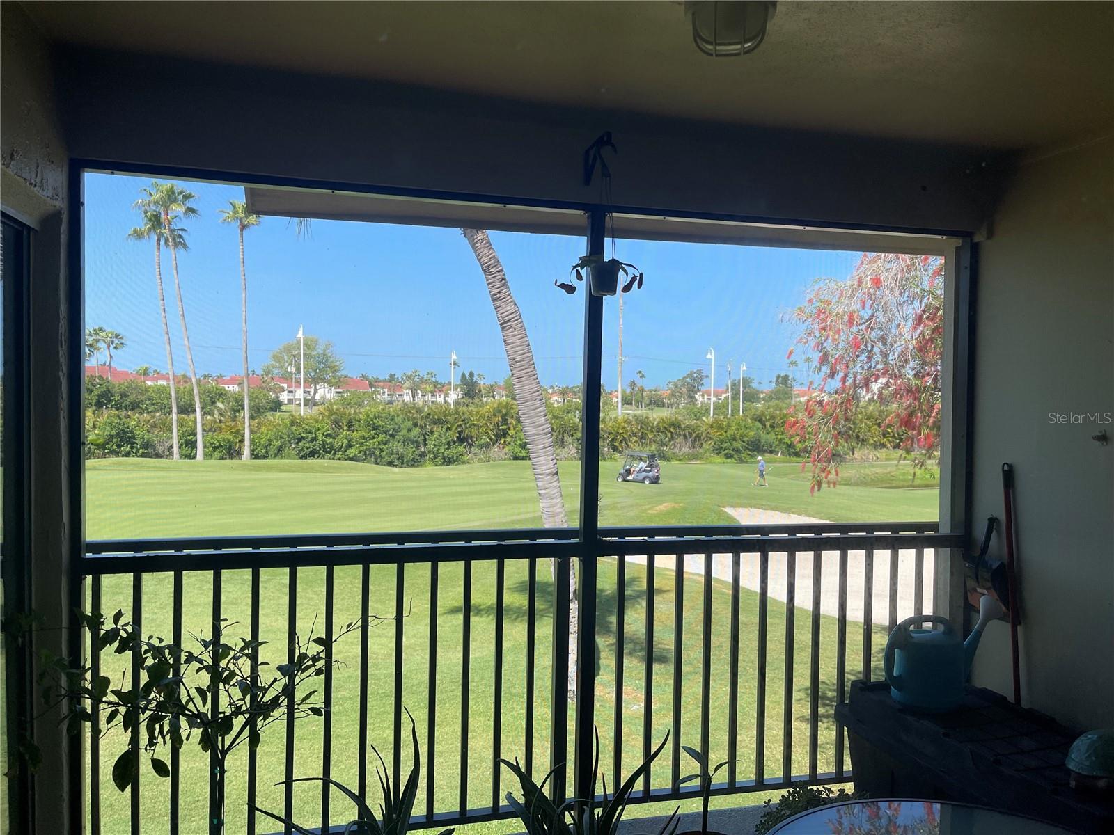 6343 Palma Del Mar Blvd S #226 Property Photo 3