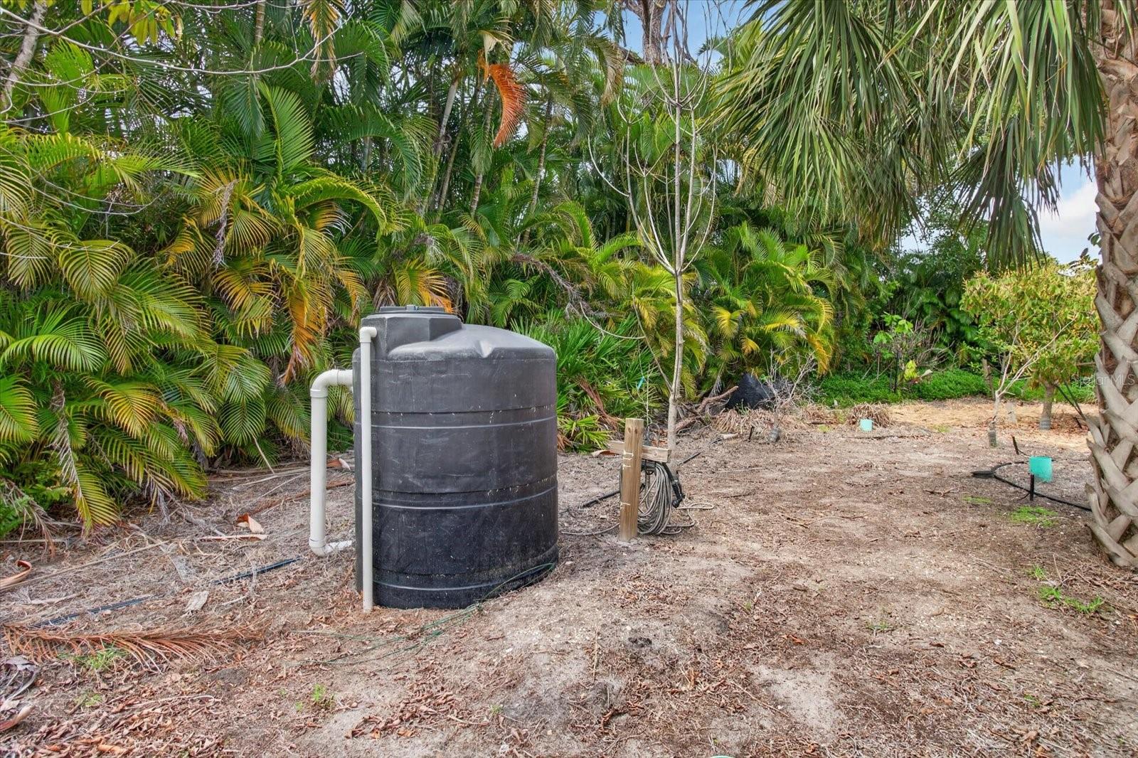 4190 Strombus Rd Property Photo 45