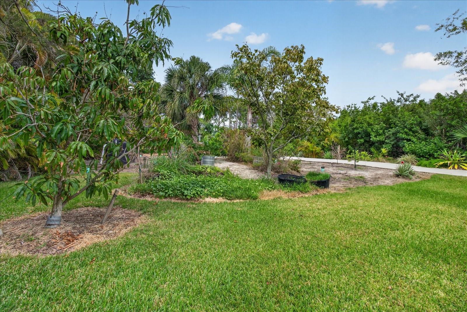 4190 Strombus Rd Property Photo 47
