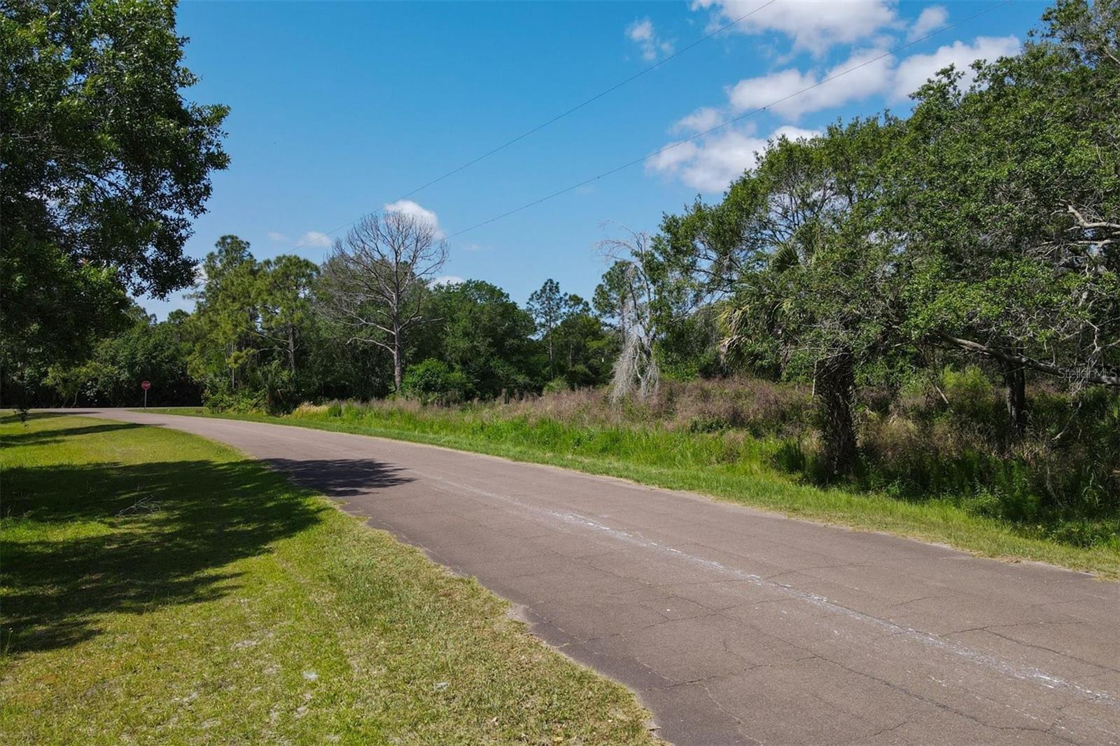 1729 Shenandoah Rd Property Photo 13