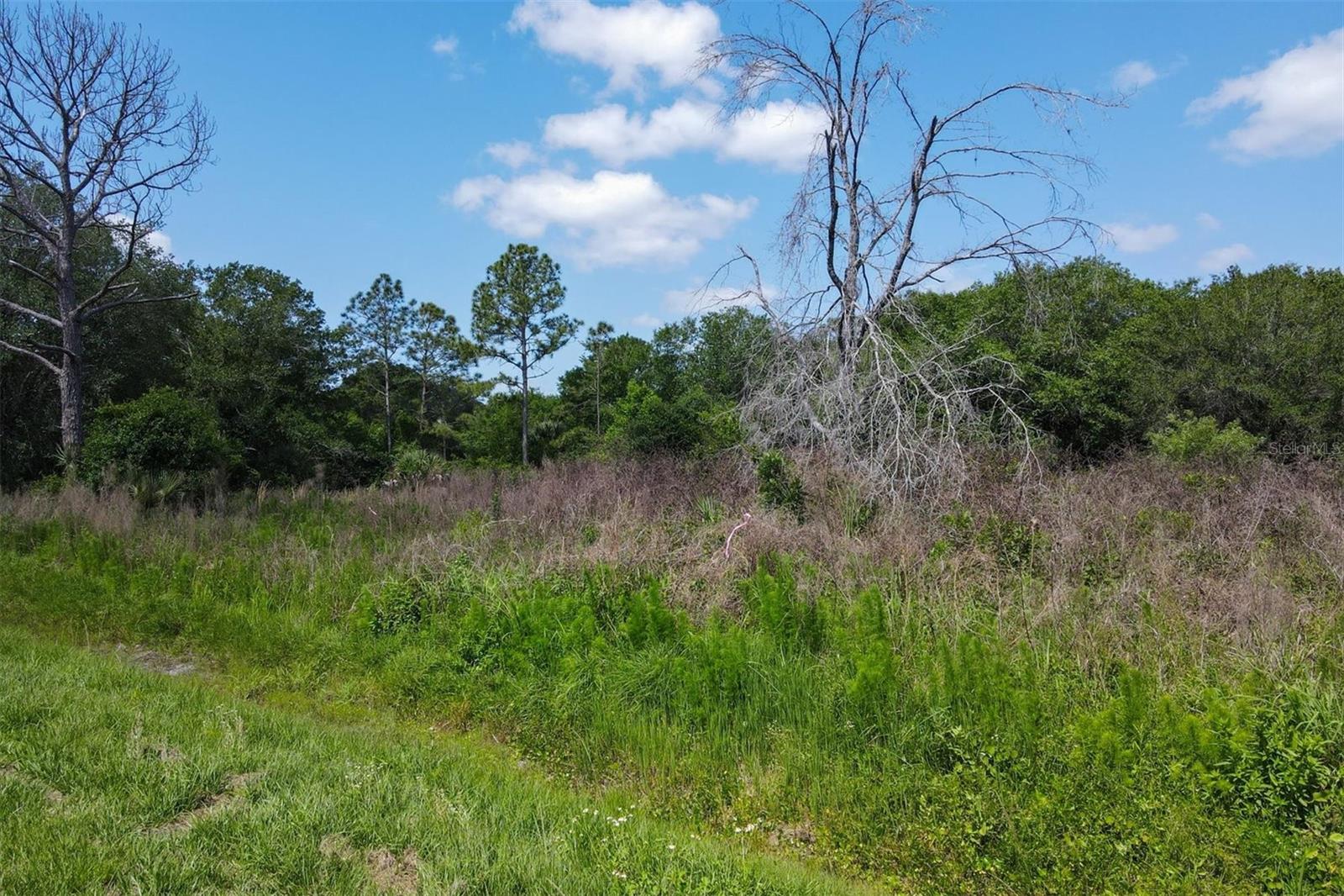 1729 Shenandoah Rd Property Photo 14