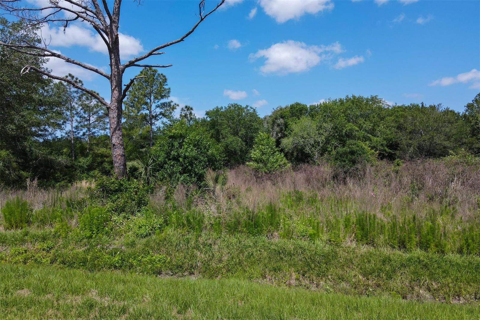 1729 Shenandoah Rd Property Photo 15