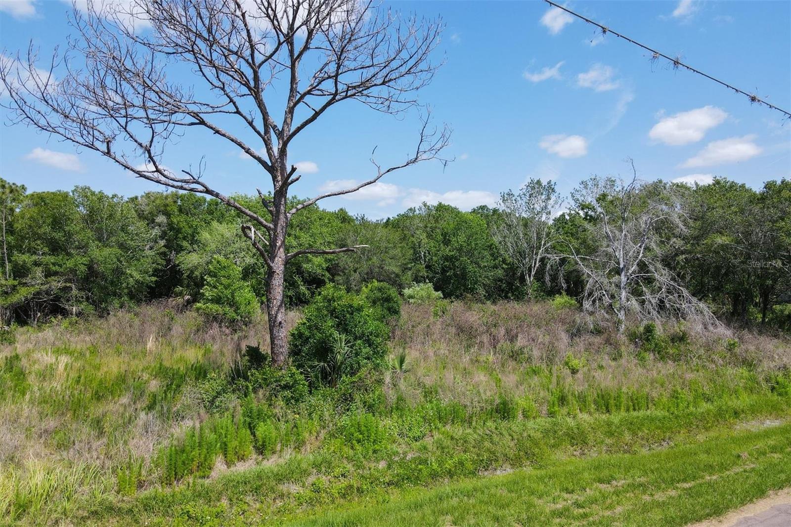 1729 Shenandoah Rd Property Photo 17