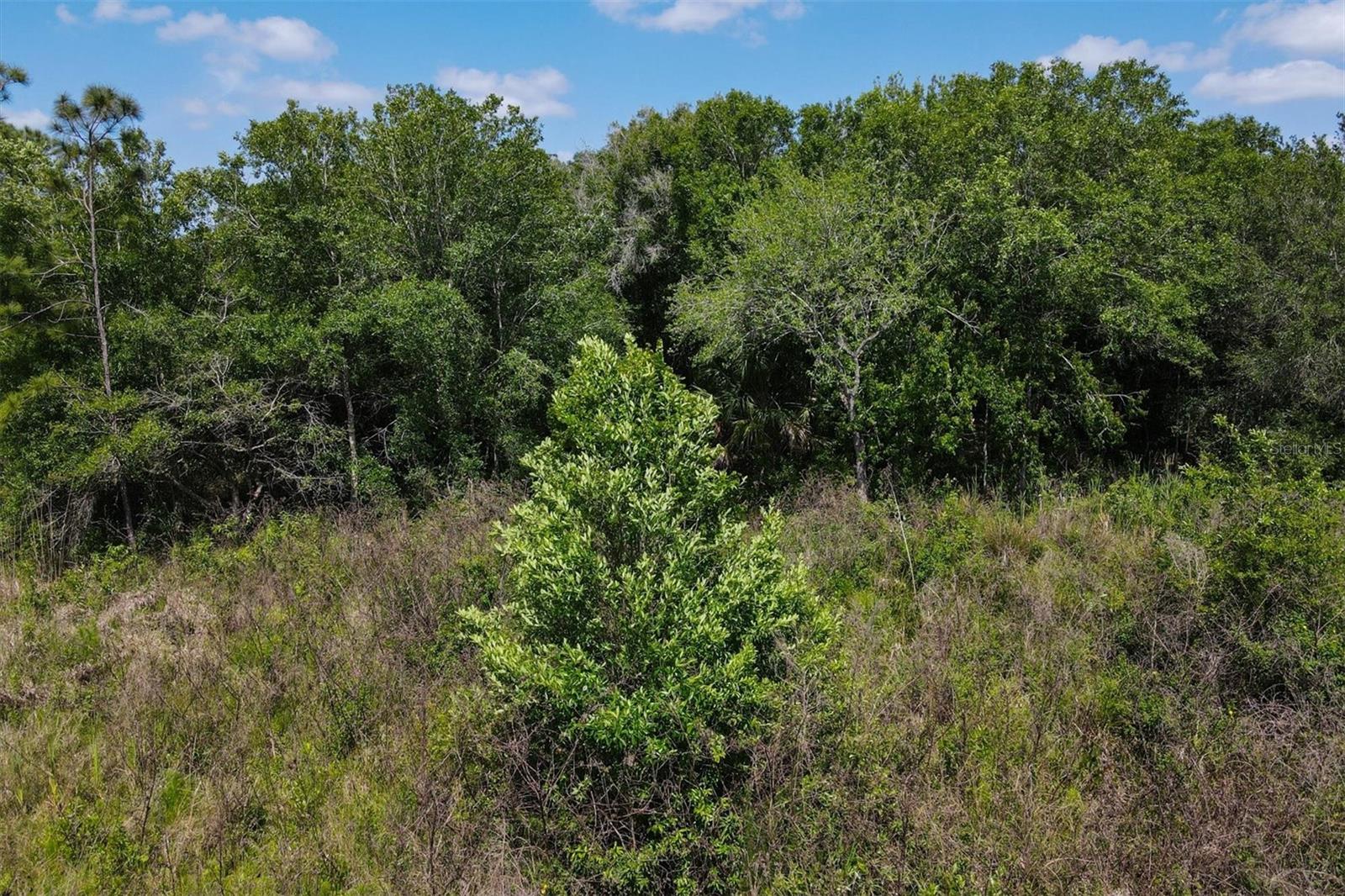 1729 Shenandoah Rd Property Photo 20
