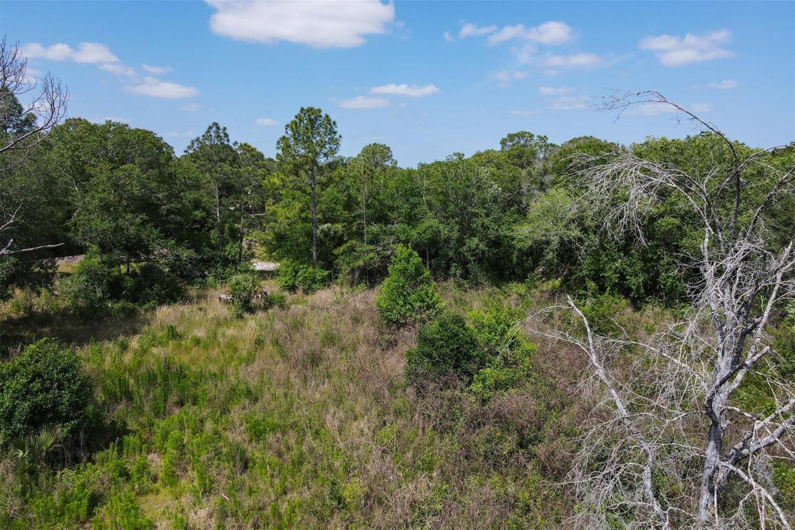 1729 Shenandoah Rd Property Photo 21