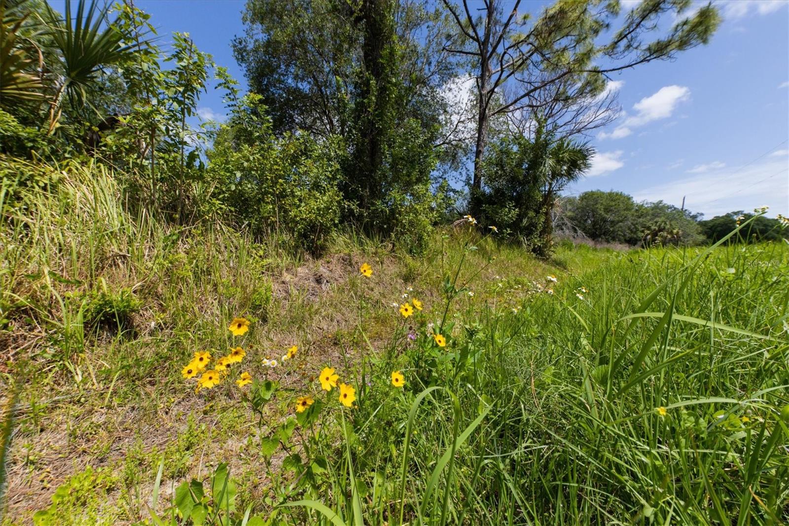 1729 Shenandoah Rd Property Photo 22