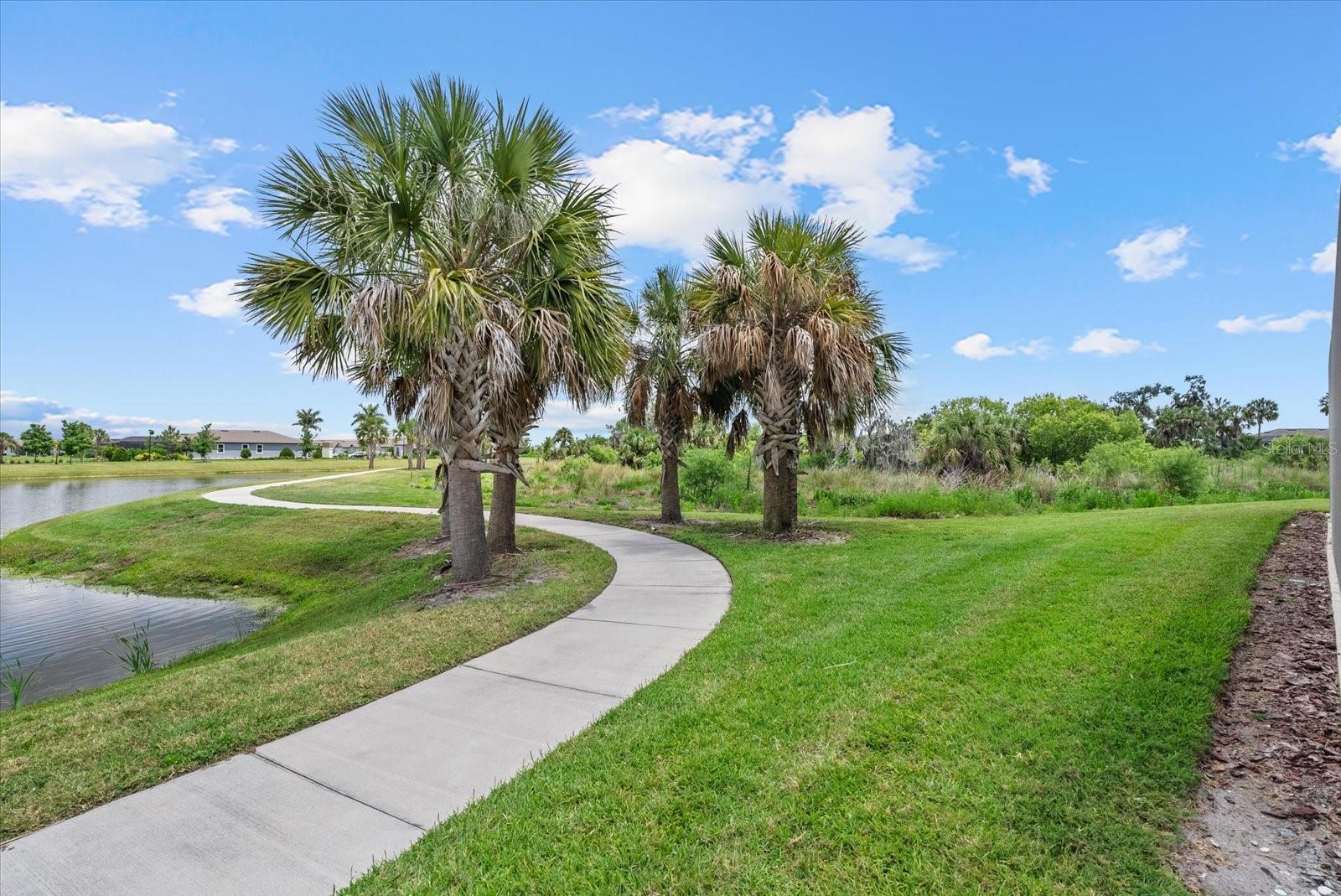 8510 Coastal Palms Gln Property Photo 44