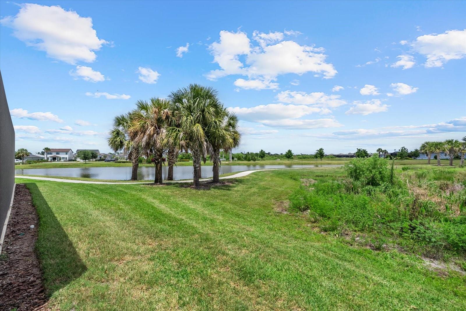 8510 Coastal Palms Gln Property Photo 48