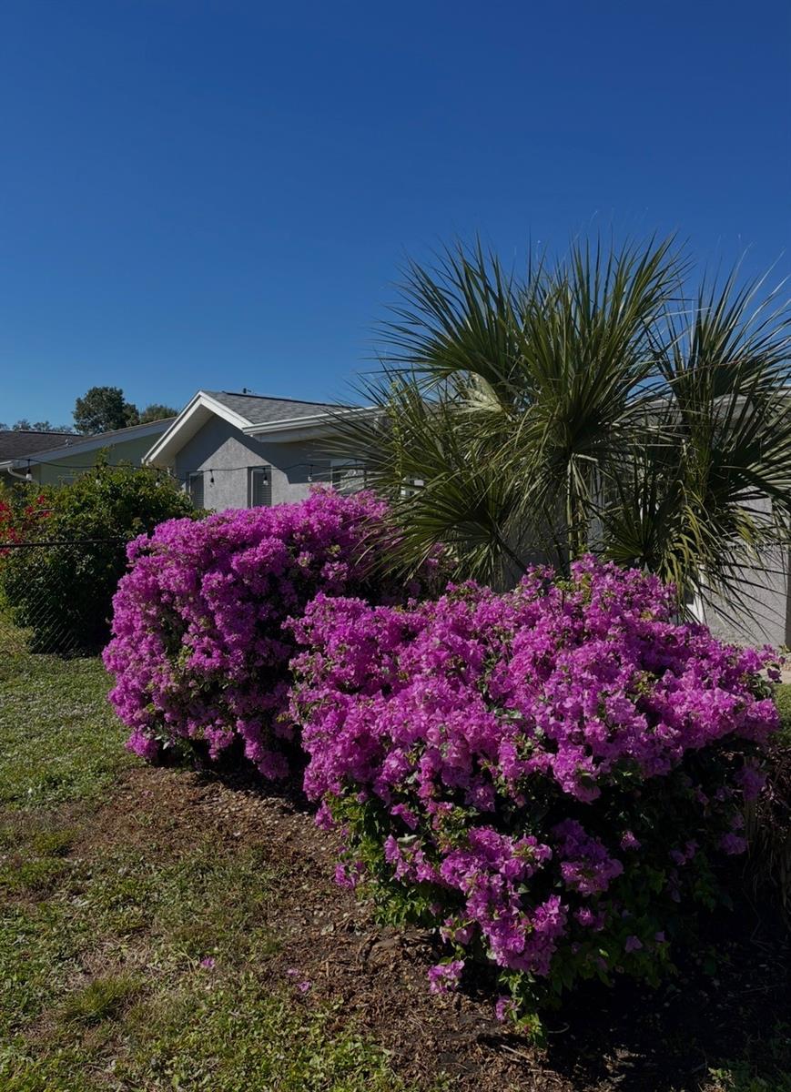 2824 Shannon Dr Property Photo 72