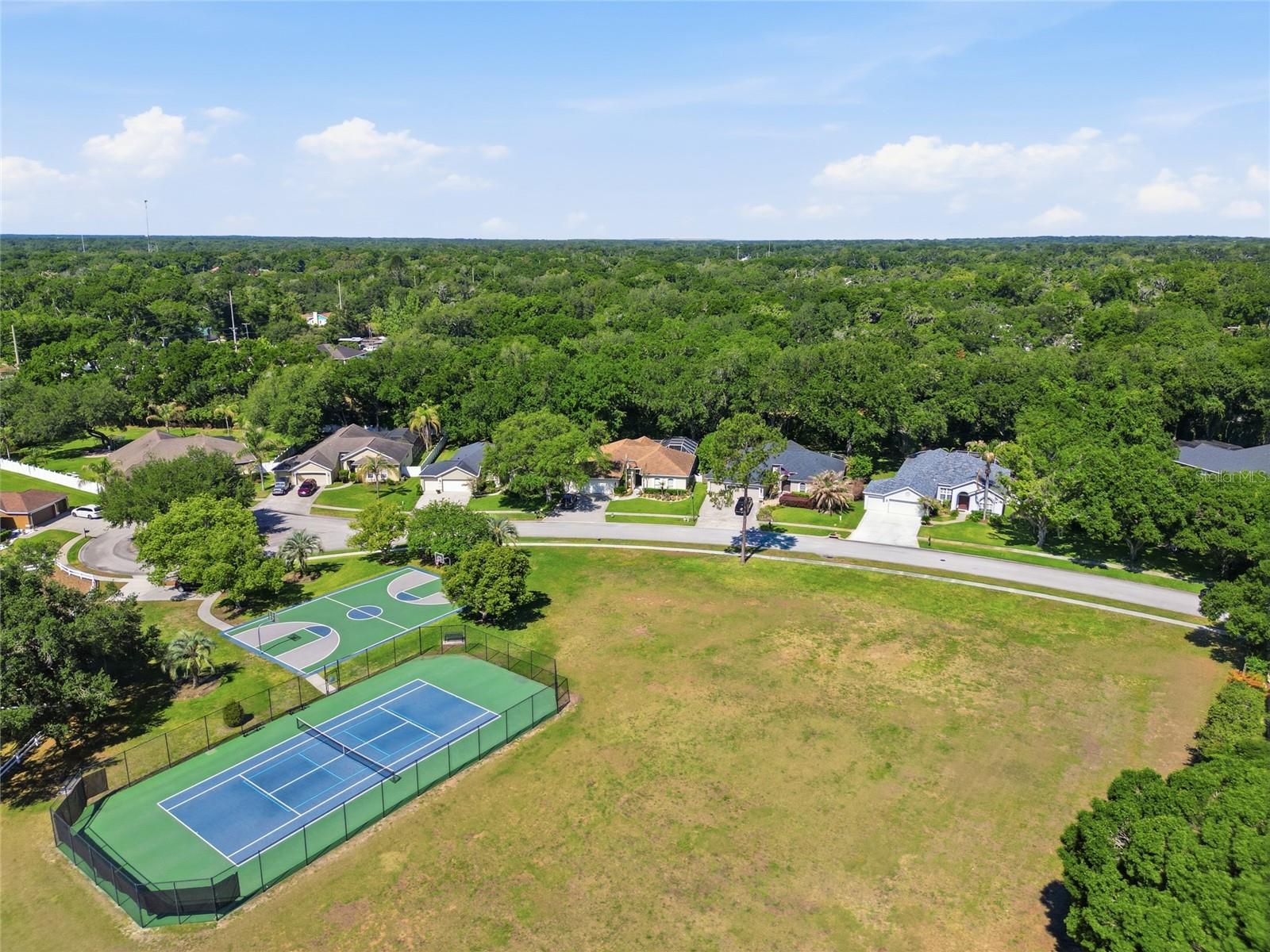 3205 Partridge Point Trl Property Photo 49