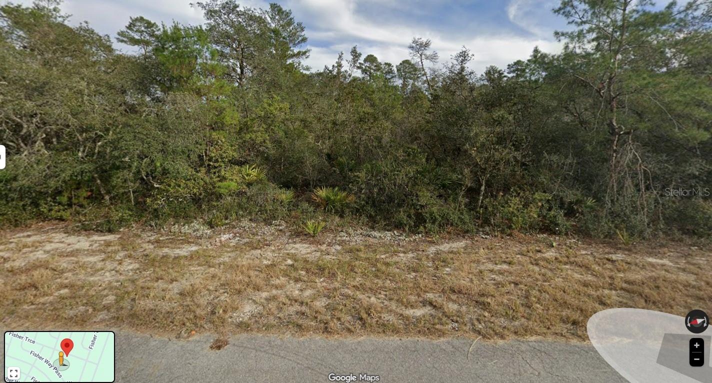 Fisher Trace Trl Property Photo 2