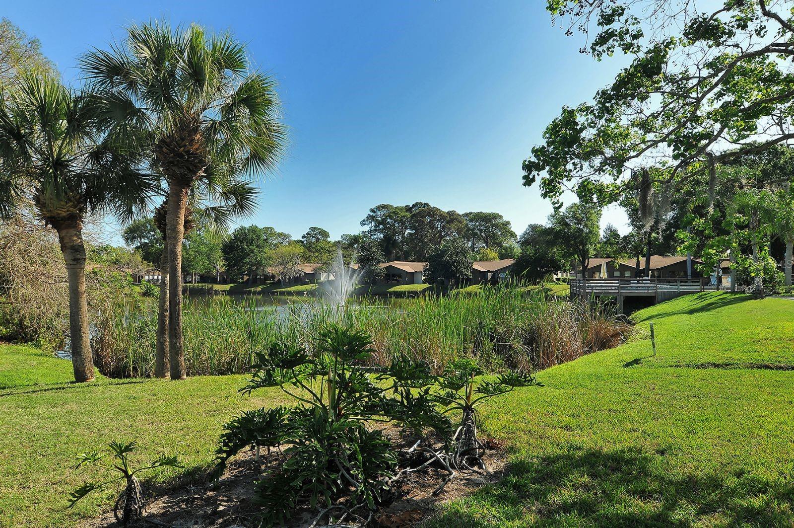 4633 Oak Hill Dr #13 Property Photo 42