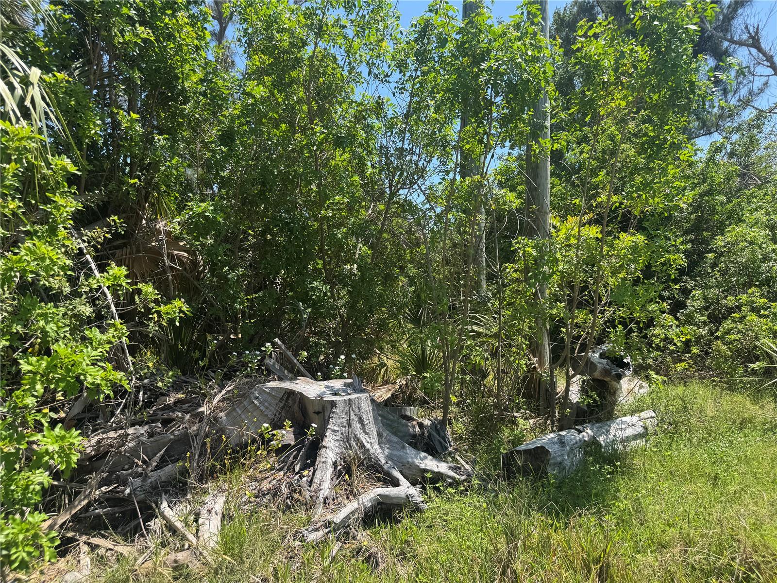 8992 Seagrape Ln Property Photo 6