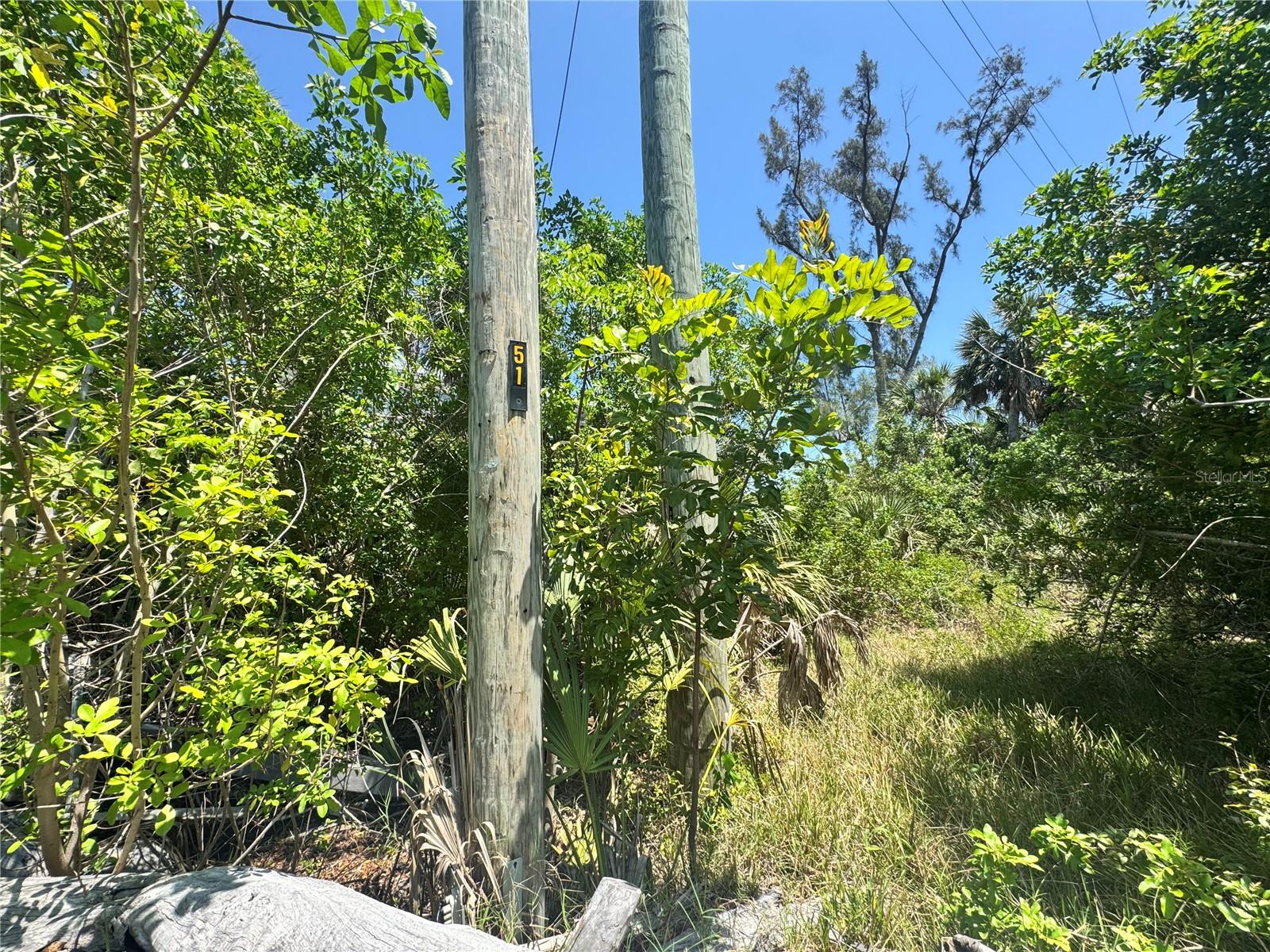 8992 Seagrape Ln Property Photo 8