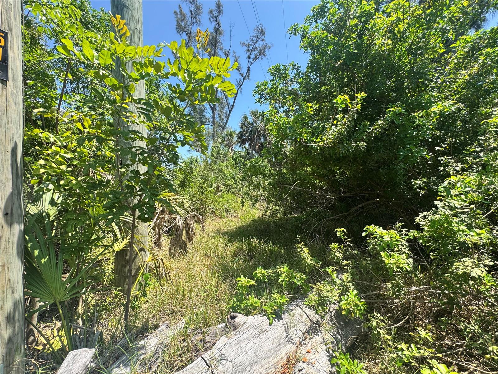 8992 Seagrape Ln Property Photo 10