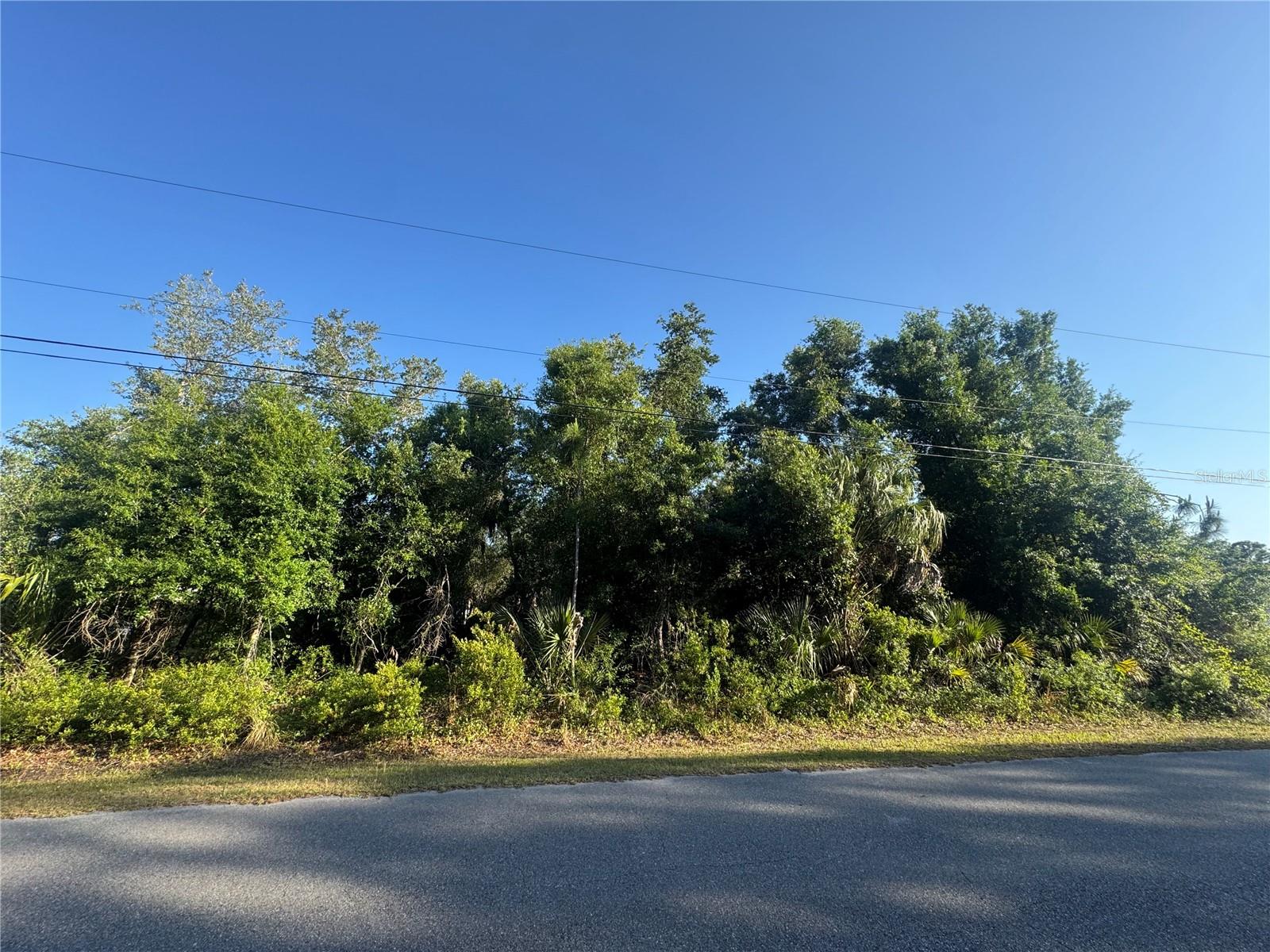 PETAL RD Property Photo 1