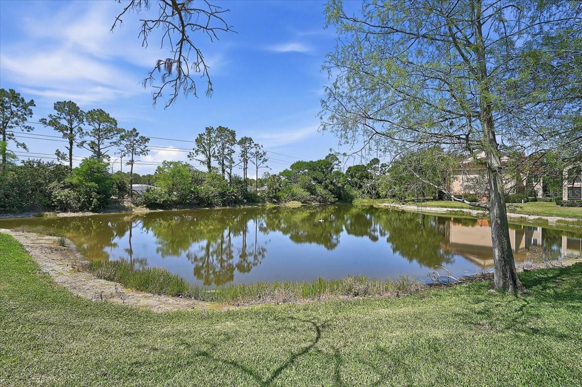 4138 Central Sarasota Pkwy #1534 Property Photo 32