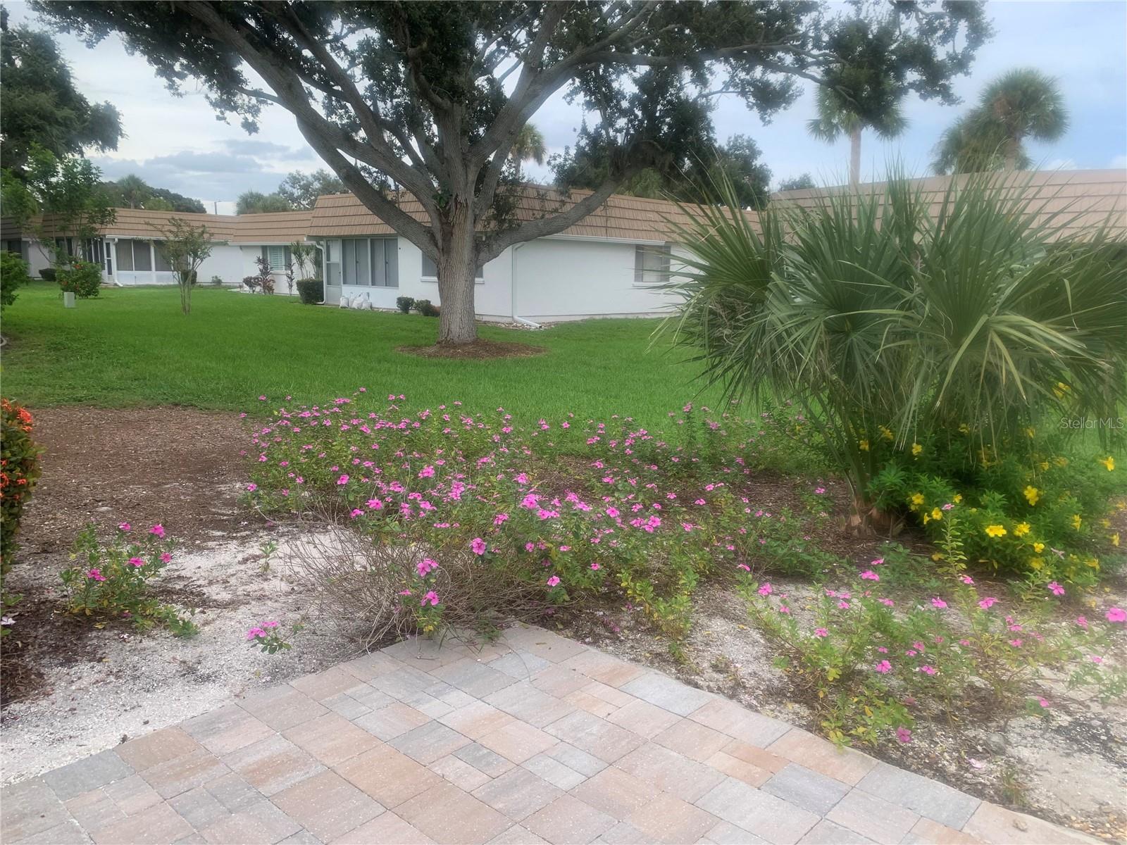 2310 Canalbluff Pl #v287 Property Photo 14