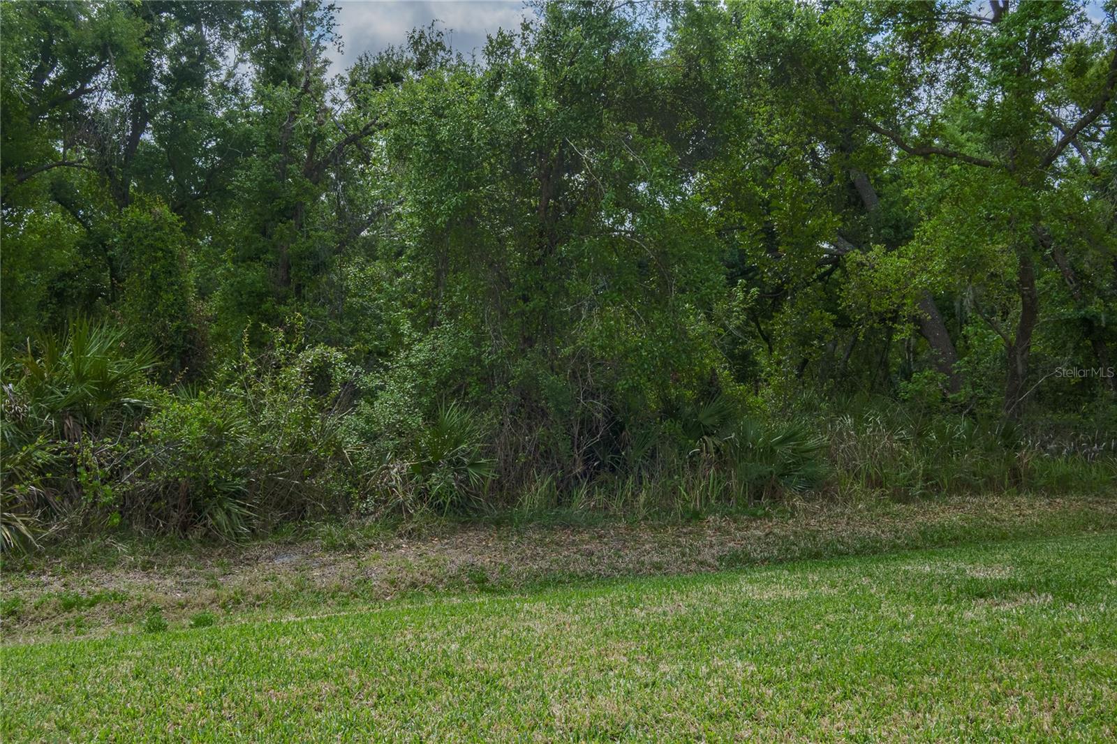 3208 Woodland Fern Dr Property Photo 25